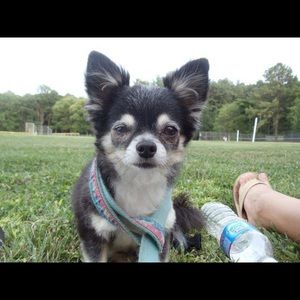 Meet your Posher, Mallory